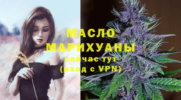 индика Нея