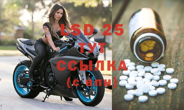 индика Нея