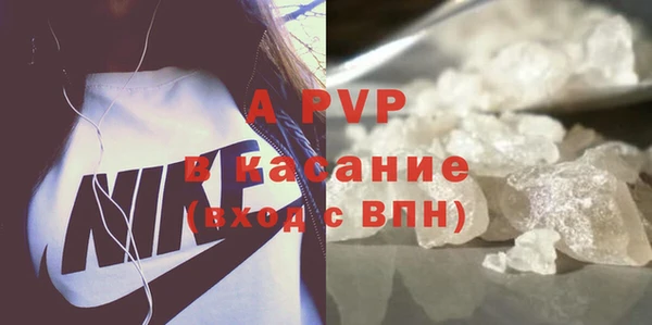 крисы Новозыбков