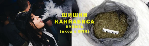 индика Нея