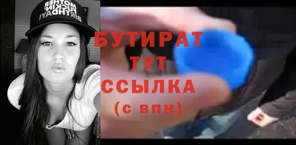 индика Новодвинск