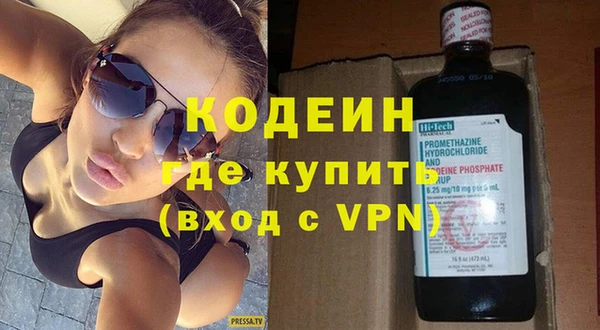индика Нея