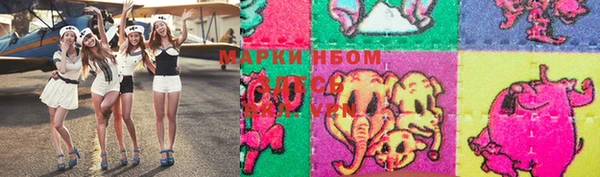 индика Нея