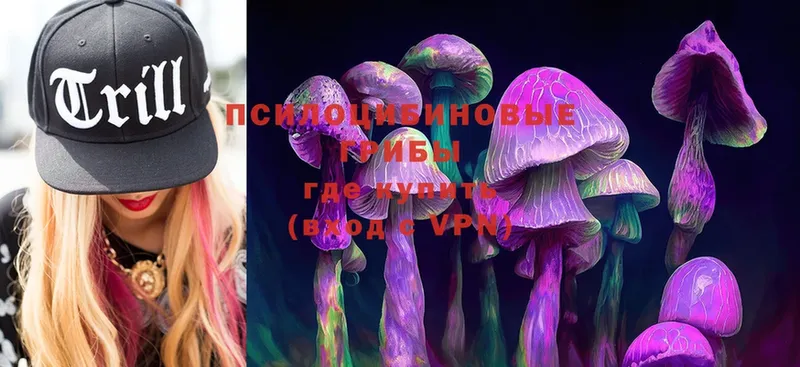 мориарти Telegram  Туймазы  Псилоцибиновые грибы Psilocybe 