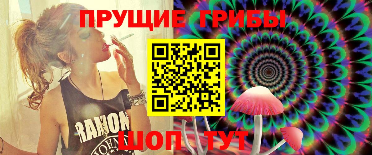 Галлюциногенные грибы Psilocybine cubensis Туймазы