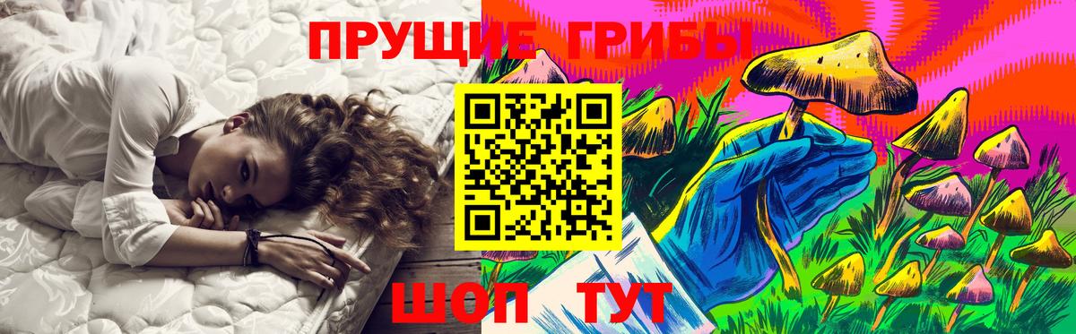 Псилоцибиновые грибы Magic Shrooms  закладки  Туймазы  Вход с VPN 