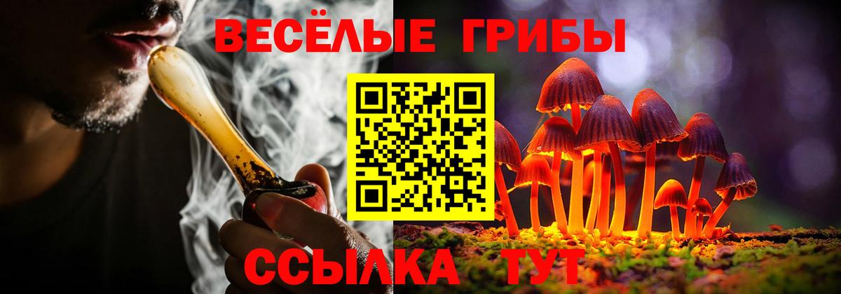 Псилоцибиновые грибы мицелий  Туймазы  Галлюциногенные грибы Psilocybine cubensis 